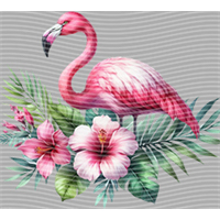 Animal Integration-DW 1592